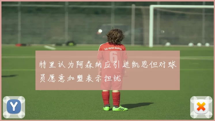 特里认为阿森纳应引进凯恩但对球员愿意加盟表示担忧